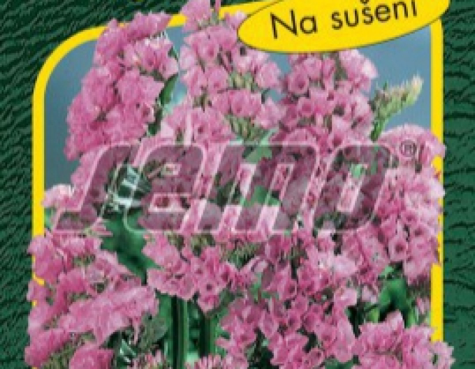 Zitronensamen Rosea Superba