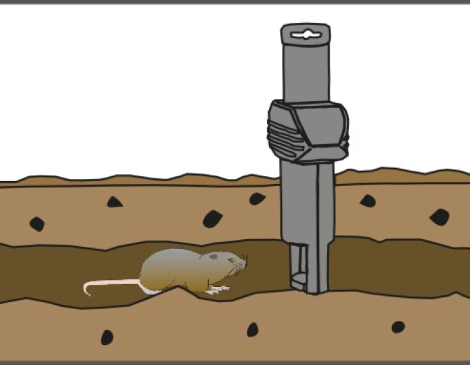 Swiss Inno Zubehör für Maulwurffalle