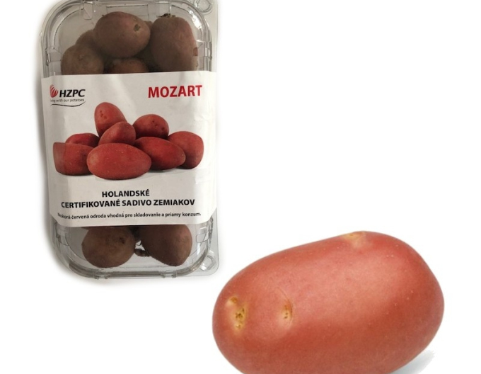 Pflanzkartoffeln Mozart Wanne ca. 1kg