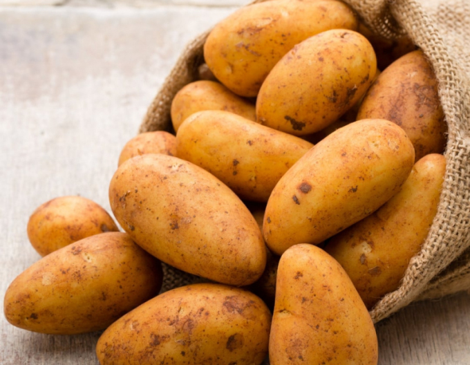 Saatkartoffeln Wega 5kg