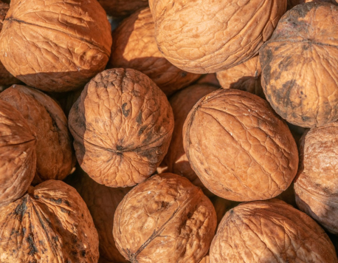 Walnuss Fernor, frei.