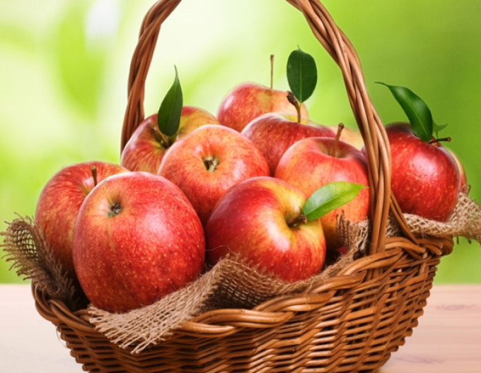 Apfel Jonagold, auf MM106, wurzelnackt