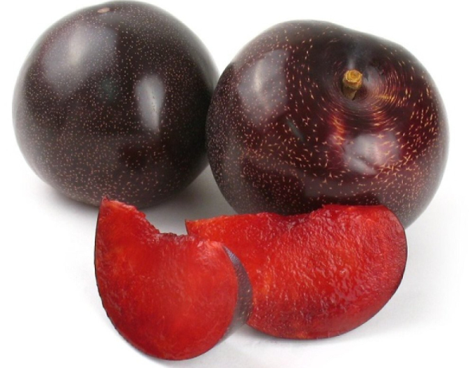 Aprikose-Pflaume Columnare, sub. Myrobalan, Forts. 5l