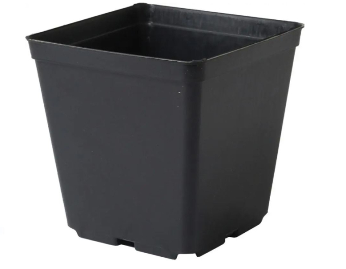 Quadratischer Blumentopf aus Kunststoff 11x11x12