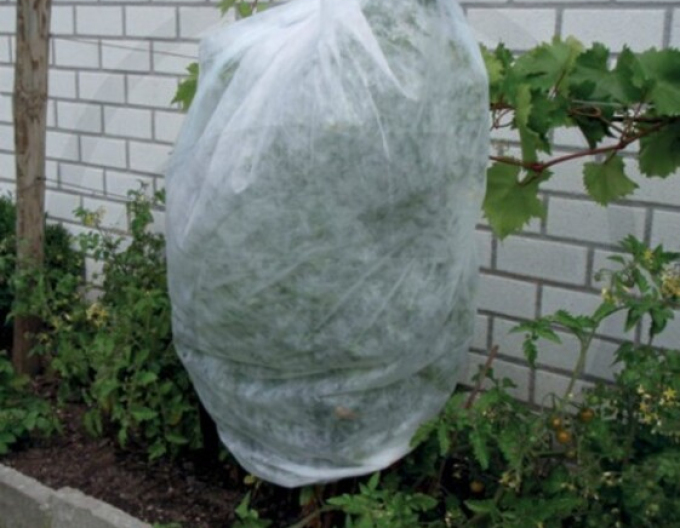 Vliesstoff weiß 17g/m2 1,6 x 3m