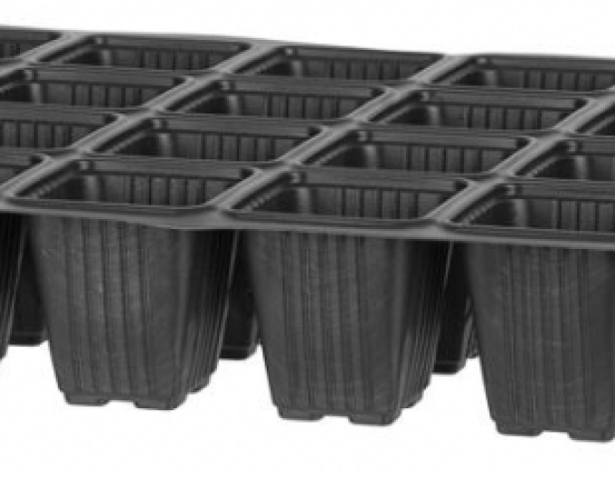 Anzuchtschale mit 24 Zellen