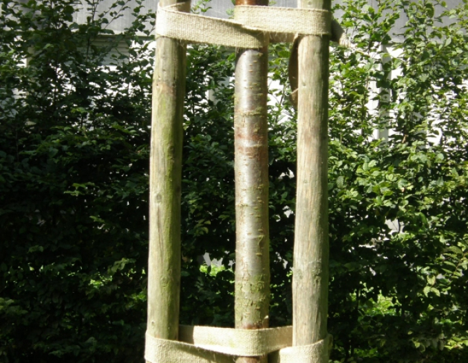 Gurtband für Baumstämme, Breite 35 mm, Länge 50 m