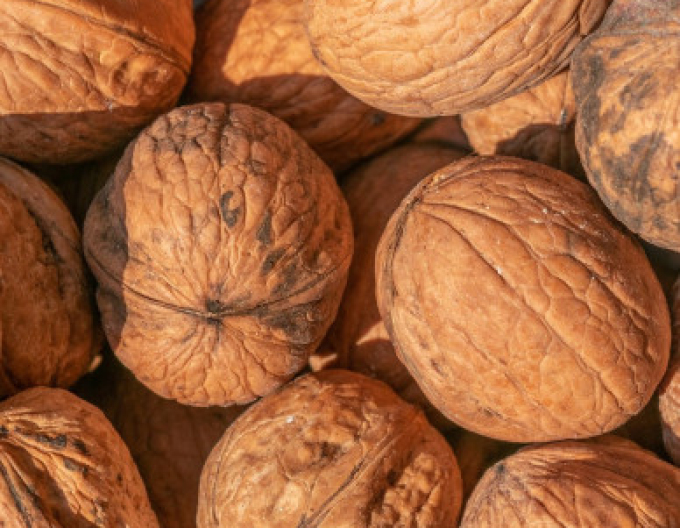 Walnuss Fernor, Cont. 5l