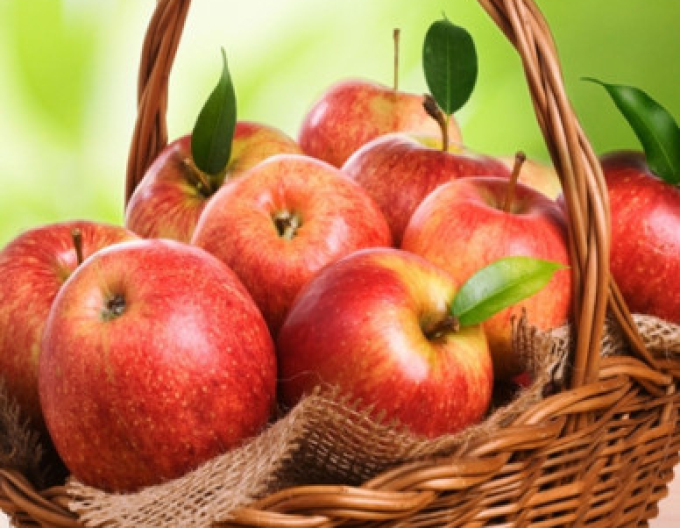 Apfel Jonagold, auf MM106, Cont. 5l