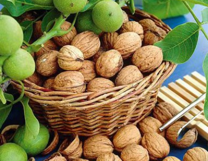 Walnuss Lara , lose.