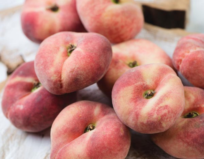 Pfirsich Late Donut , wurzelnackt