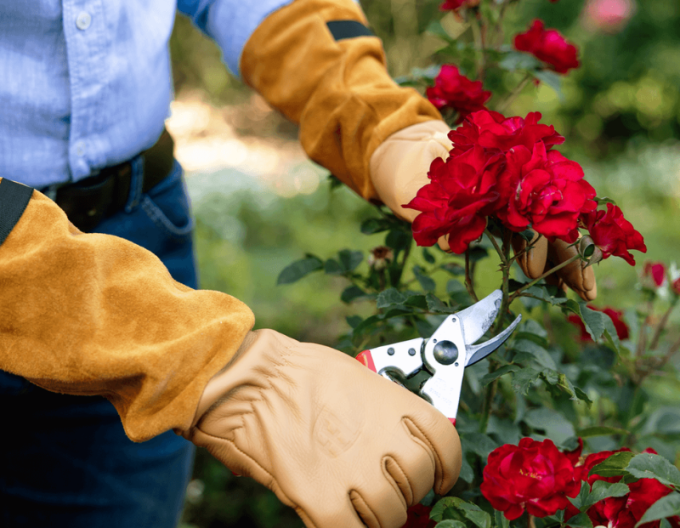 FELCO 705 Handschuhe für Rosen