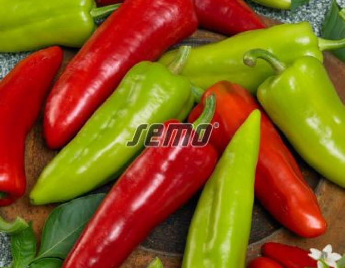 Semo Paprika  Dráky F1