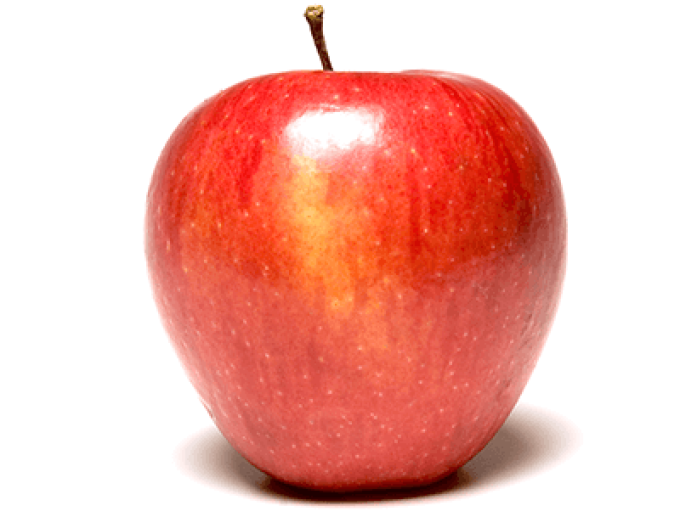 Apfel Pinova , auf M9, wurzelnackt