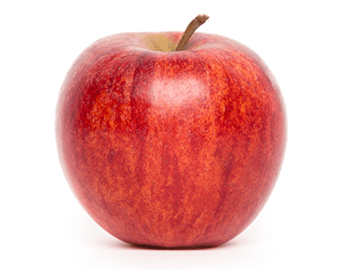 Apfel Gala Mitchgla, auf M9, wurzelnackt