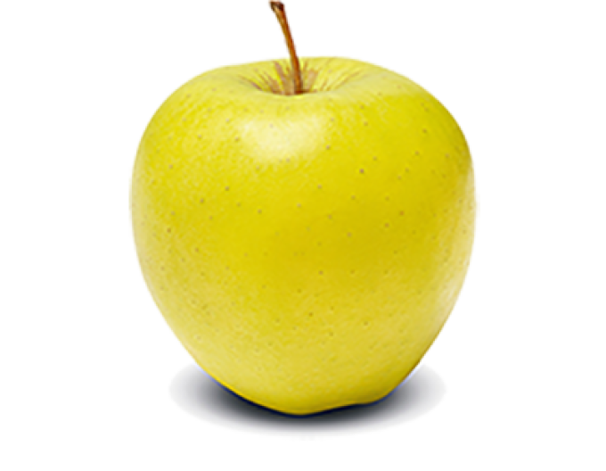 Apfel Golden Delicious, auf MM106, wurzelnackt