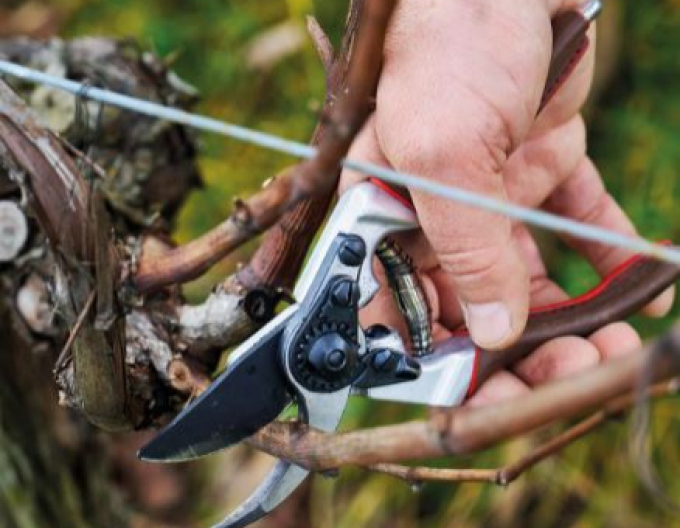 FELCO 6 Elite Gartenschere