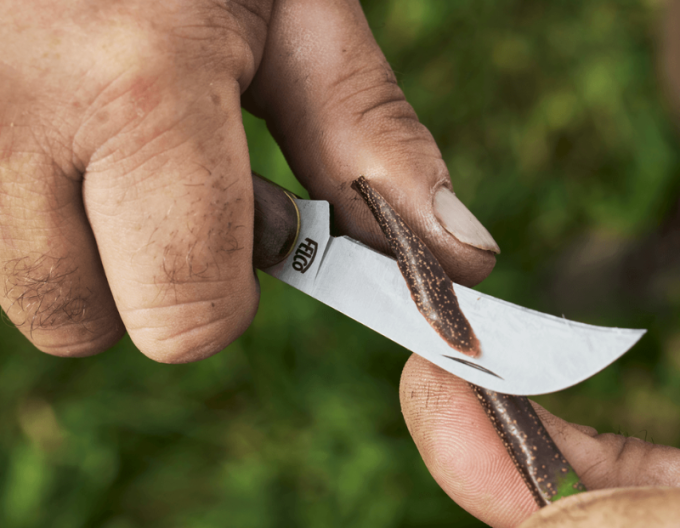 FELCO 511 Veredelungsmesser für Weinreben