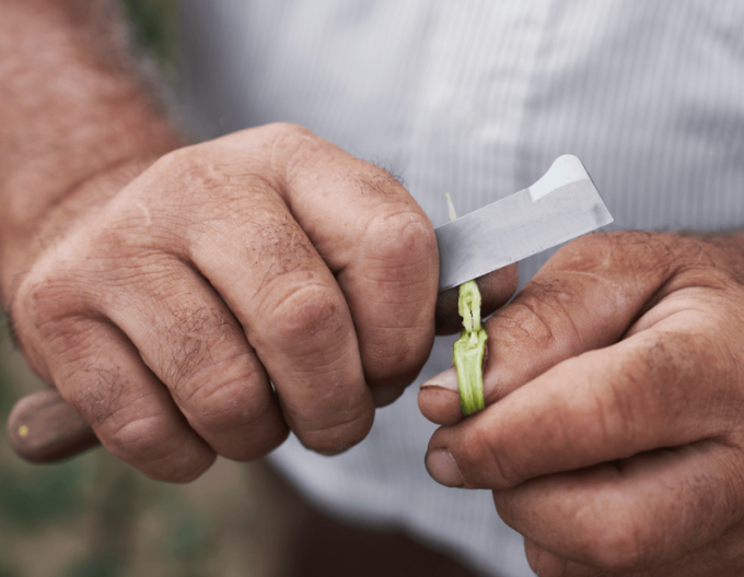 FELCO 512 Veredelungsmesser