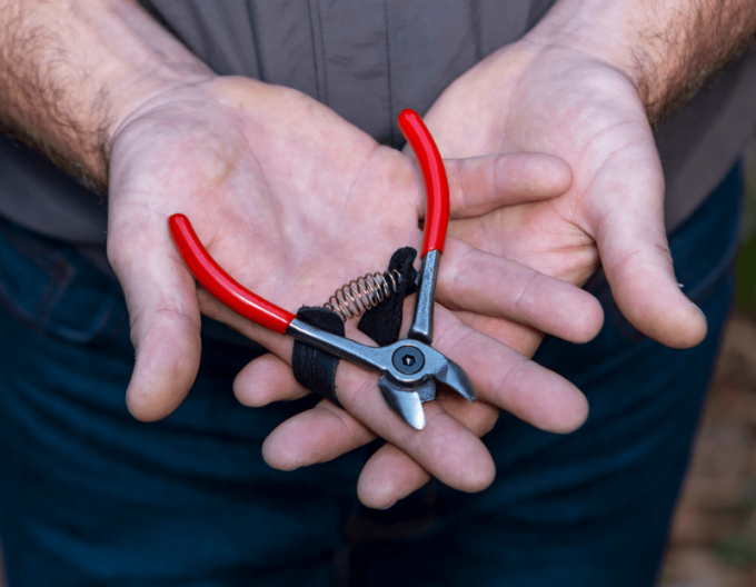 FELCO 330 Obstschere