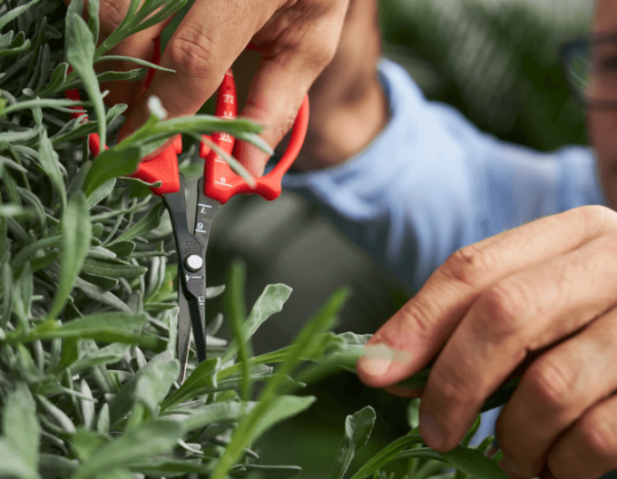 FELCO 420 Präzisions-Trimmschere