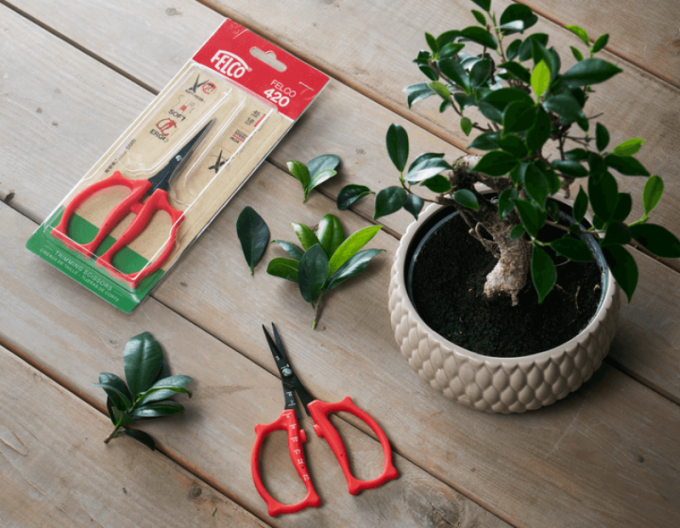 FELCO 420 Präzisions-Trimmschere