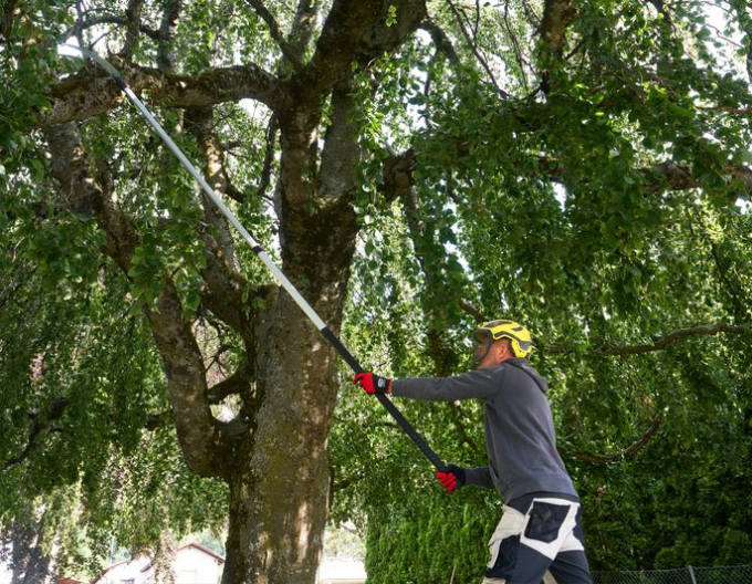 FELCO 648 Teleskopsäge