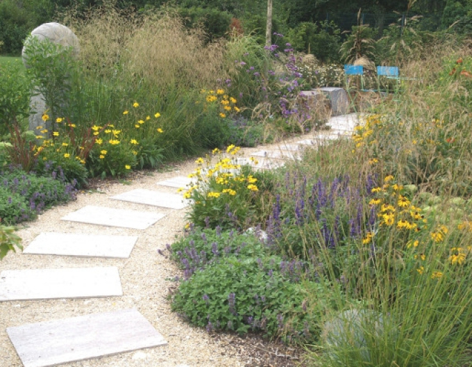 Schmiele Goldschleier 2l