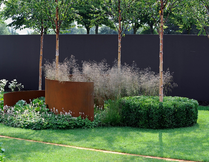 Schmiele Goldschleier 2l