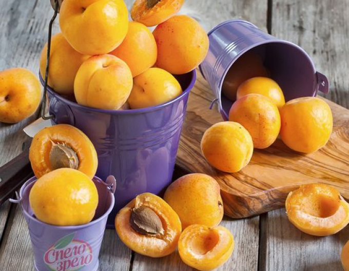 Aprikose Karola spät