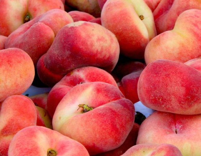 Pfirsich Sandwich gelb früh