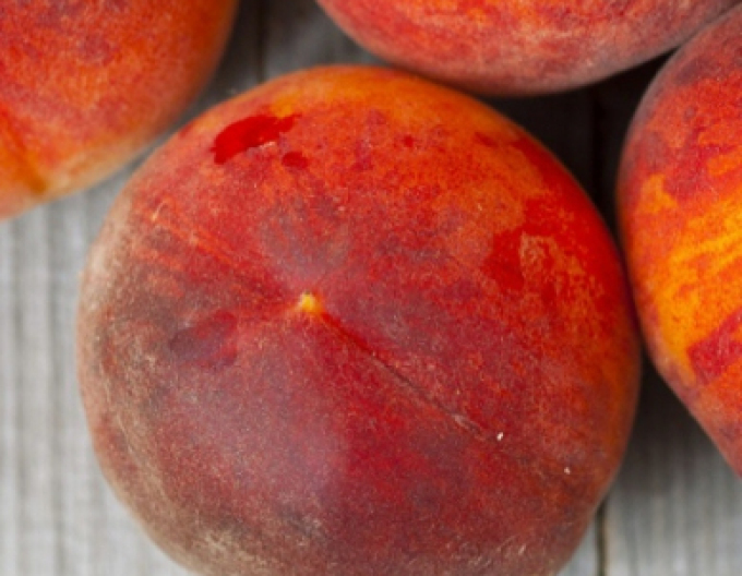 Pfirsich Suncrest, auf GF677, Cont.5l