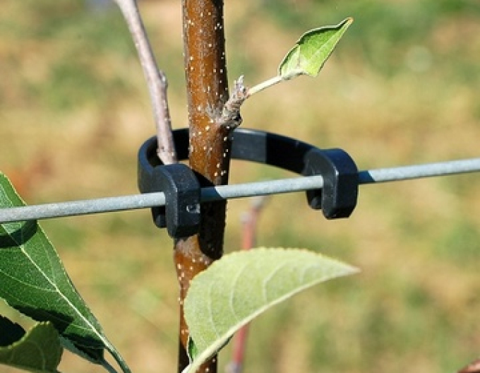 STAMMHALTER flexibles Band 125 mm lang