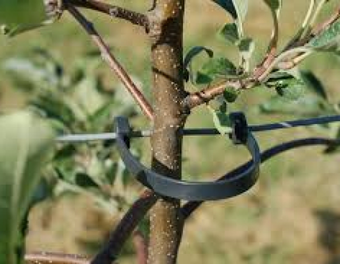 STAMMHALTER flexibles Band 125 mm lang