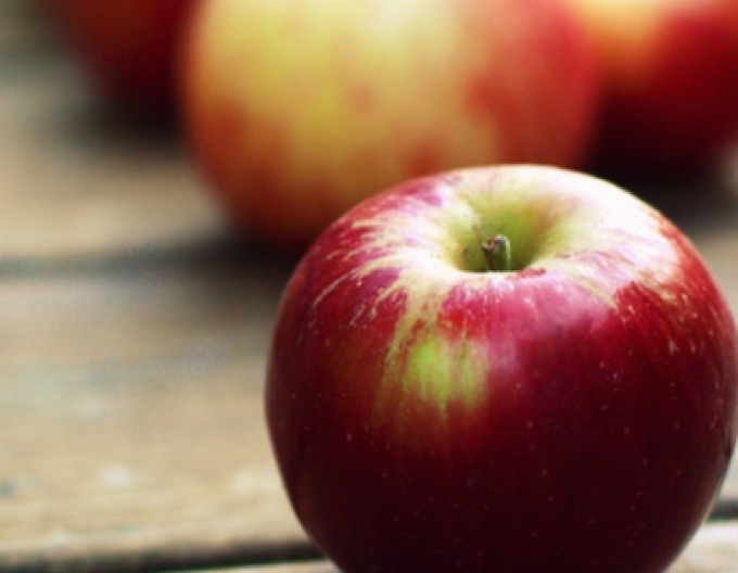 Apfelbaum Gala auf M9, wurzelnackt