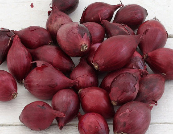 Roter Baron" 8/21 25kg