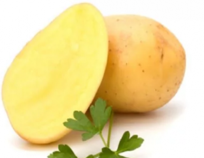 Pflanzkartoffeln Soraya Wanne 1kg