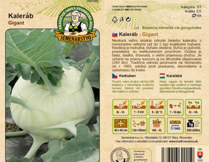 Kohlrabi Gigant
