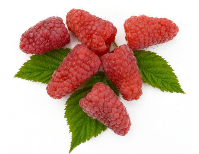 Himbeere Gordost Rosyi