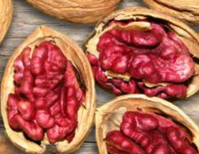 Rotfrüchtige Walnuss