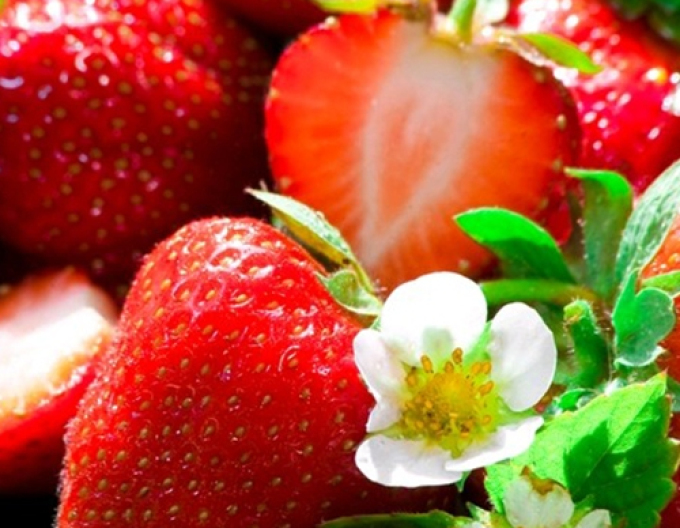 Erdbeere Anabel