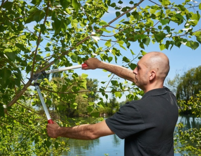 FELCO 211 - 60 Zweihand-Astschere