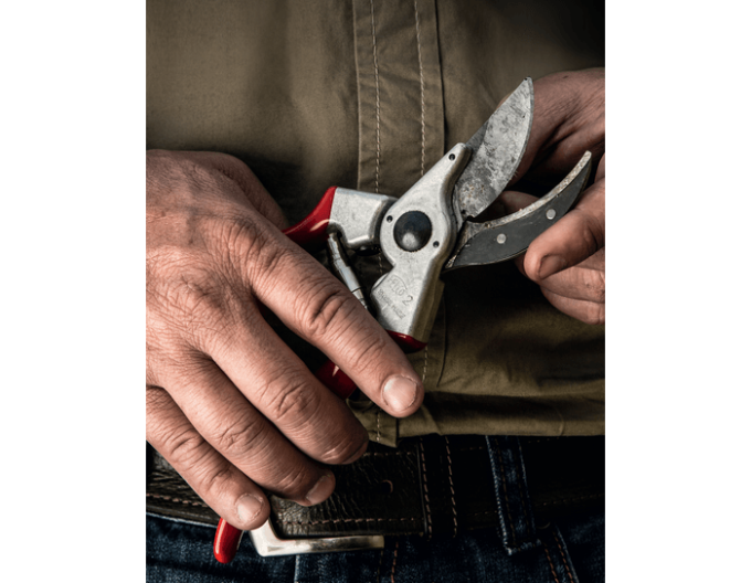 FELCO 2 Gartenschere