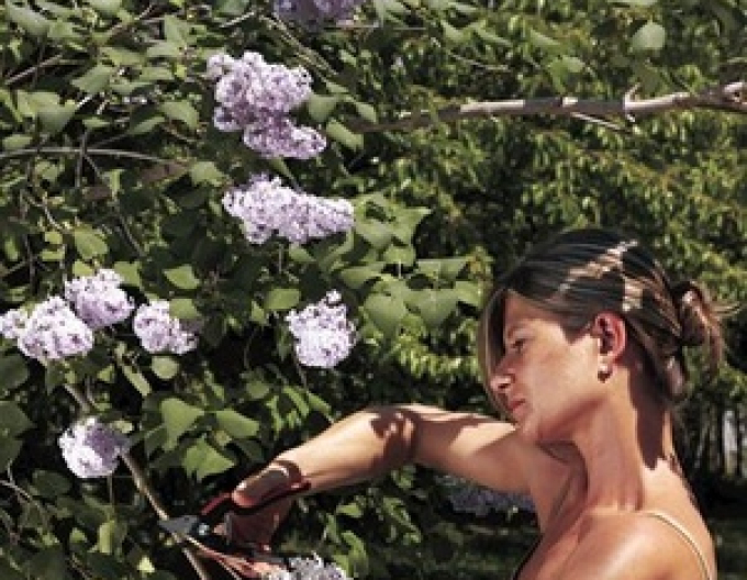 FELCO 160L Gartenschere