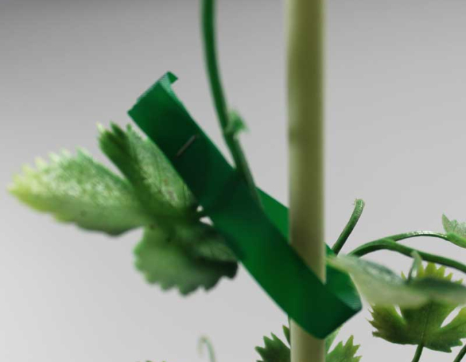 Bindeband für MAX HTR Zangen