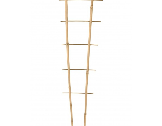 Bambusstütze doppelte PB2 105cm