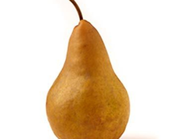 Par ‘Bosc’, toamnă, portaltoi Dula, intermediar ‘Conferință’, rădăcină liberă