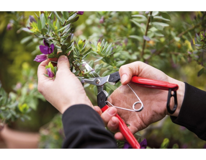 FELCO 322 Ernteschere