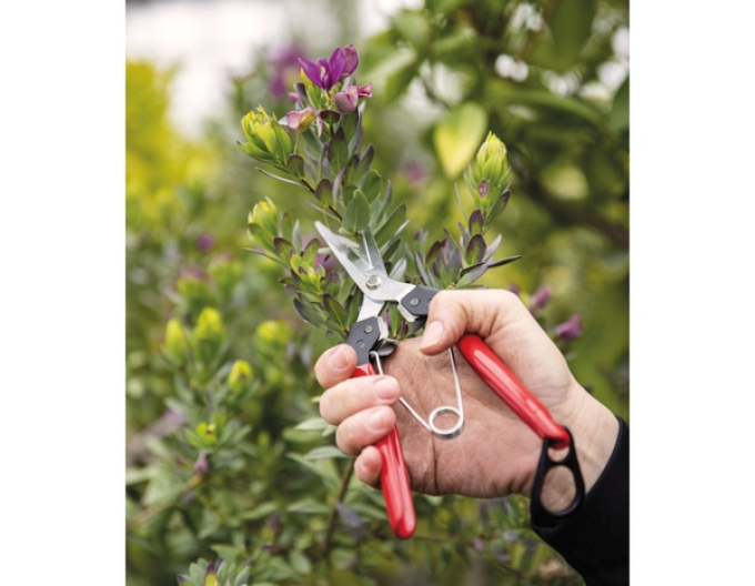 FELCO 322 Ernteschere